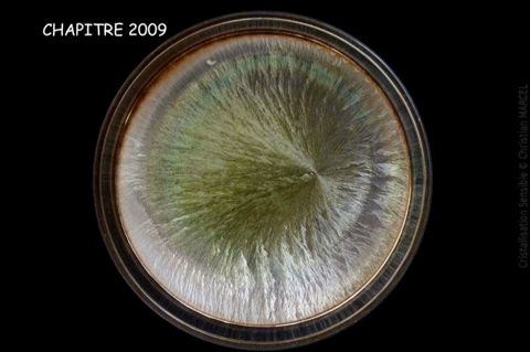 Cristallisation sensible — Chapitre 2009